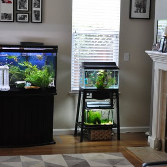 DIY ενυδρείο στο σαλόνι