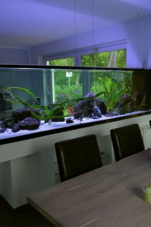 DIY ενυδρείο στο εσωτερικό