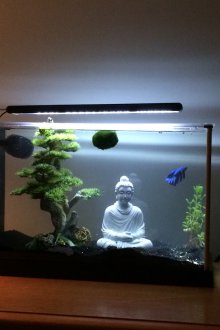 DIY ενυδρείο τεχνητό