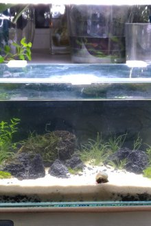 DIY ενυδρείο με πέτρες