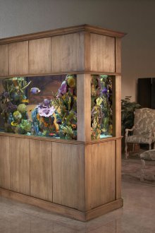 DIY ενυδρείο με ξύλινο πλαίσιο