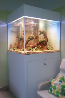DIY κυβικό ενυδρείο