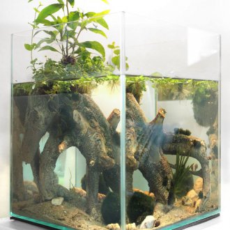 DIY πλατεία ενυδρείου