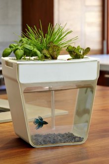 DIY do-it-yourself ενυδρείο