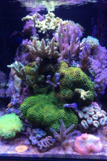 Ετοιμάστε ενυδρείο