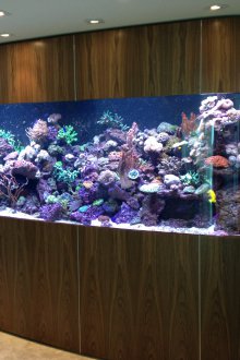 DIY ενυδρείο με πάνελ