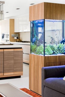 DIY ενυδρείο στο διαμέρισμα