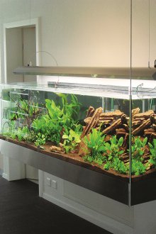 DIY ενυδρείο εξωλέμβια