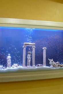 Το ενυδρείο το φτιάχνετε φρέσκο