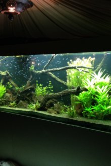 DIY ενυδρείο ορθογώνιο