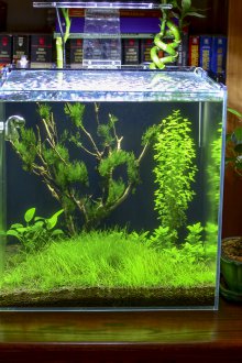 DIY ενυδρείο στο υπνοδωμάτιο