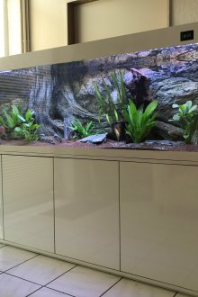 DIY ενυδρείο από γυαλί