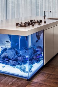 DIY ενυδρείο σε ένα μετρητή μπαρ