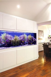 DIY ενυδρείο στην τραπεζαρία