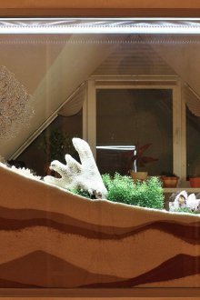 DIY ενσωματωμένο ξηρό ενυδρείο