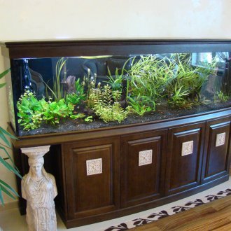 DIY ενυδρείο στο βάθρο