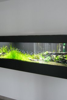 Κάνετε το δικό σας στενό ενυδρείο