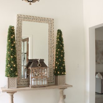 Αφρώδης διακόσμηση στο πλαίσιο