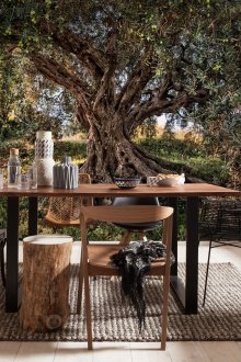 Στερεοσκοπική ταπετσαρία με ένα δέντρο