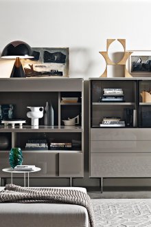 Ντουλάπι σε ένα αίθριο γραφικών σε στυλ μοντερνισμού