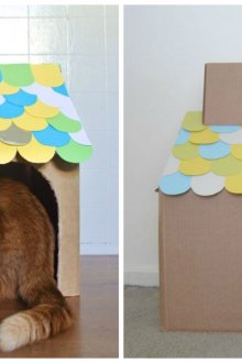 Κατοικία γάτας από χαρτόνι