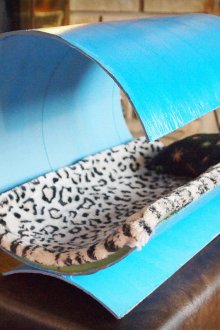 Ασυνήθιστο κρεβάτι γάτας