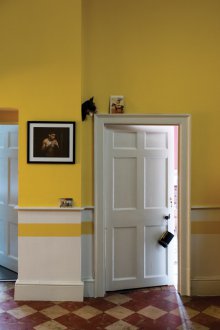 Τα πάνελ τοίχου για το διάδρομο κίτρινο