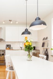 Σχεδιασμός κουζίνας 20 τ.μ. Σκανδιναβική