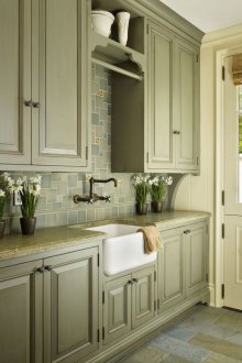 Ελιά στο εσωτερικό της κουζίνας