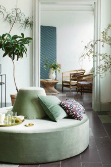 Οθωμανική ελιά στο εσωτερικό