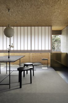 Ιαπωνικά εσωτερικό σκοτάδι