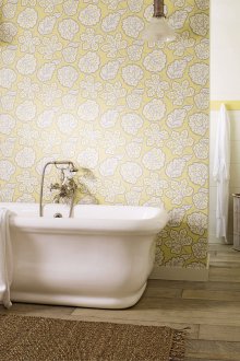 Ταπετσαρία σε μια τουαλέτα της χώρας