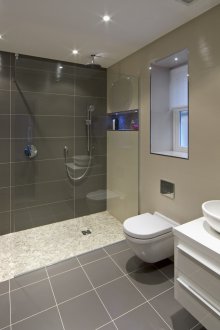 Μεγάλο γκρίζο μπάνιο