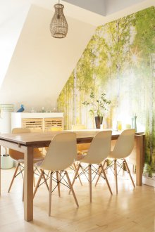 Τοιχοποιία σημύδα