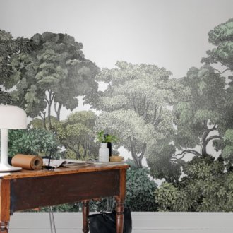 Φωτοτυπικό χαρτί με εικόνα