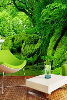 Βρύα τοίχου τοίχου