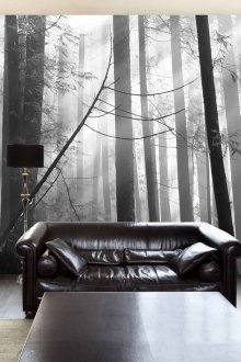 Μονόχρωμη ταπετσαρία φωτογραφιών