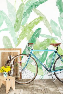 Ταπετσαρία φωτογραφίας