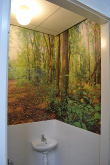 Τοίχο τοίχου στην τουαλέτα