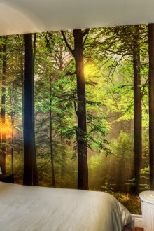 Τοίχος τοιχοποιίας