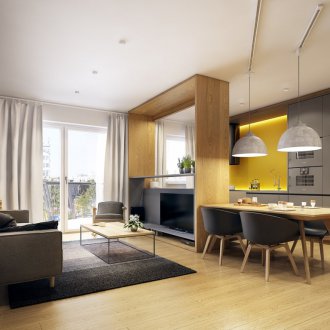 Πώς να οργανώσετε τα έπιπλα σε διαμέρισμα στούντιο με ένα διαμέρισμα