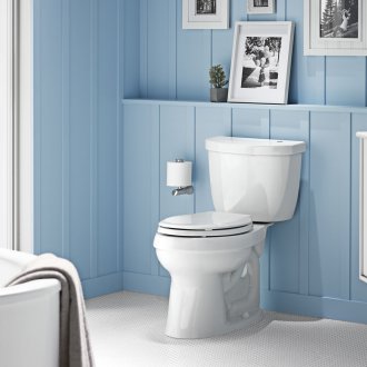 Επισκευή της τουαλέτας με μπλε πάνελ