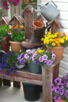 Όμορφα λουλούδια σε γλάστρες