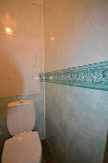 Επισκευή της τουαλέτας με πράσινα πάνελ