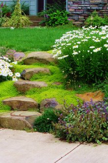 Όμορφη πέτρινη σκάλα και παρτέρια