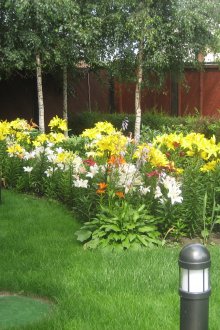 Όμορφη παρτέρι στο οικόπεδο