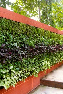 Κάθετο λουλούδι