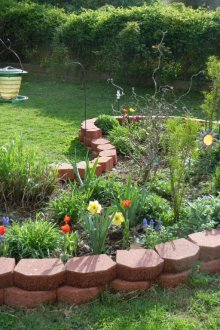 Όμορφα λουλούδια στο παρτέρι