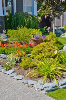 Πέτρινα παρτέρια