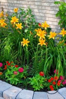 Πέτρινο λουλούδι